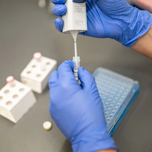 Nahaufnahme von Händen in blauen Handschuhen, die ein Laborinstrument benutzen, um eine Flüssigkeit in eine kleine, transparente Röhre zu füllen.