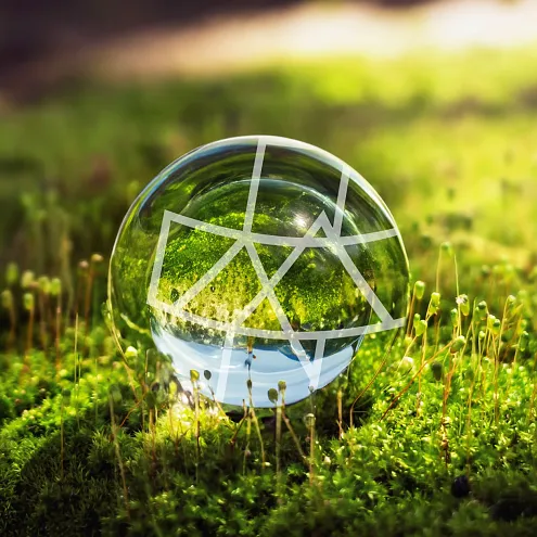 Klares Glas mit geometrischem Muster liegt auf grünem Moos im Wald, das von Sonnenlicht beleuchtet wird. Die natürlichen Farben schaffen eine ruhige Atmosphäre.